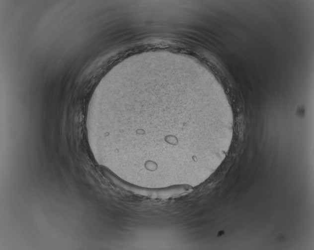 X0000115671111200912241414