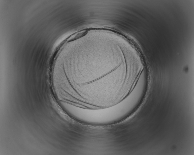 X0000115671114200912241414