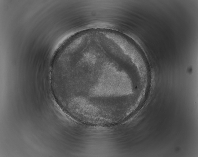 X0000115671115200912241414