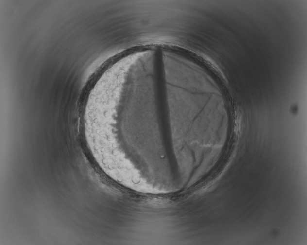 X0000115671117200912241414