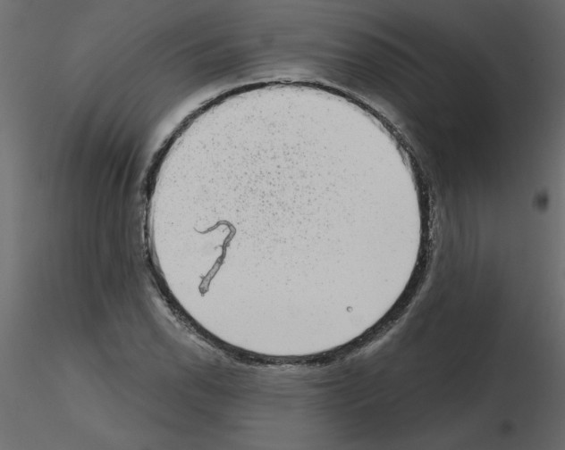 X0000115671118200912241414