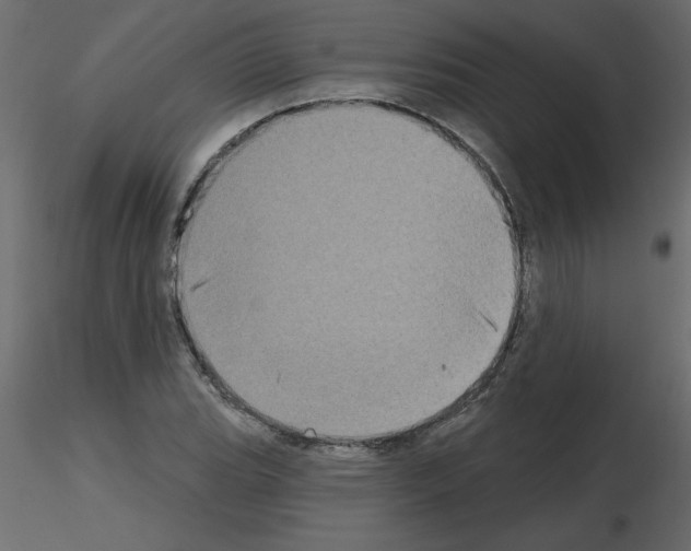 X0000115671119200912241414