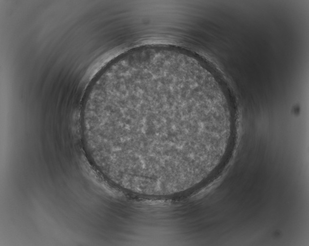 X0000115671121200912241414