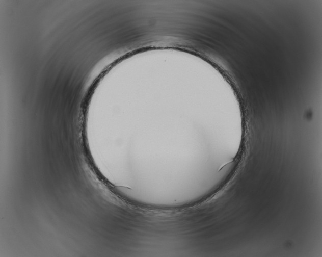 X0000115671122200912241414