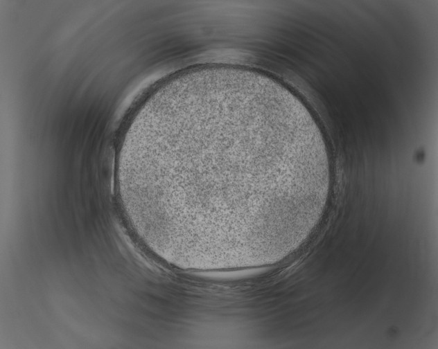 X0000115671123200912241414