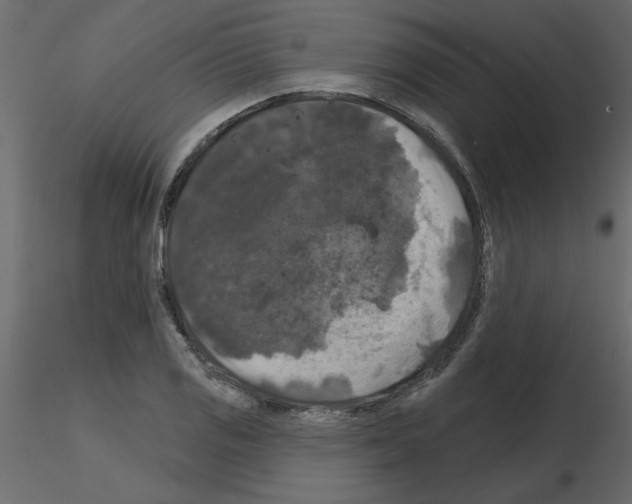 X0000115671125200912241414