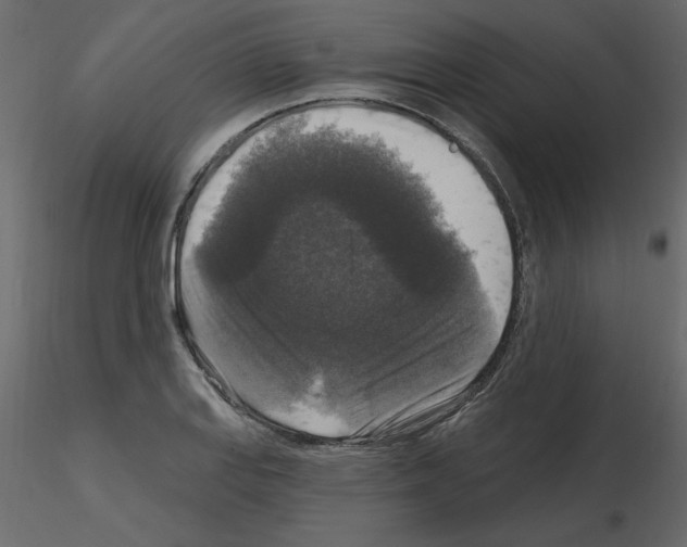 X0000115671127200912241414