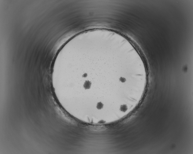 X0000115671129200912241414