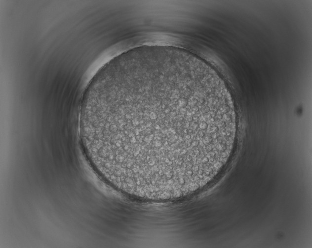 X0000115671130200912241414