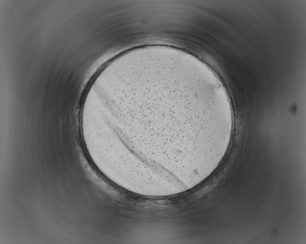 X0000115671133200912241414