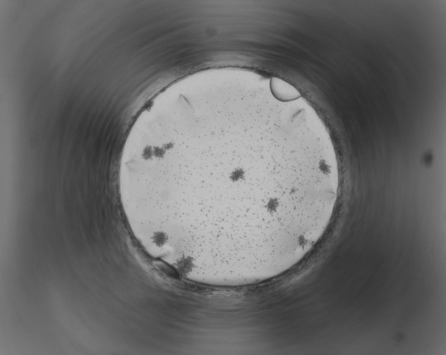 X0000115671137200912241414