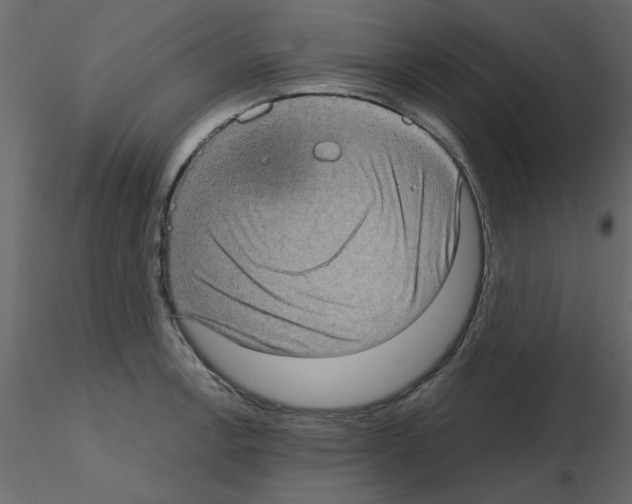 X0000115671138200912241414