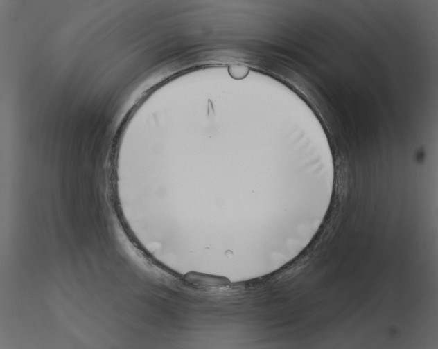 X0000115671139200912241414