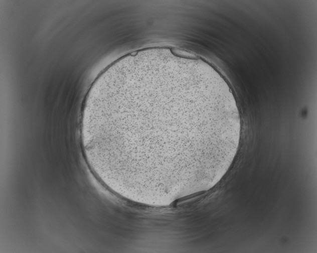 X0000115671143200912241414