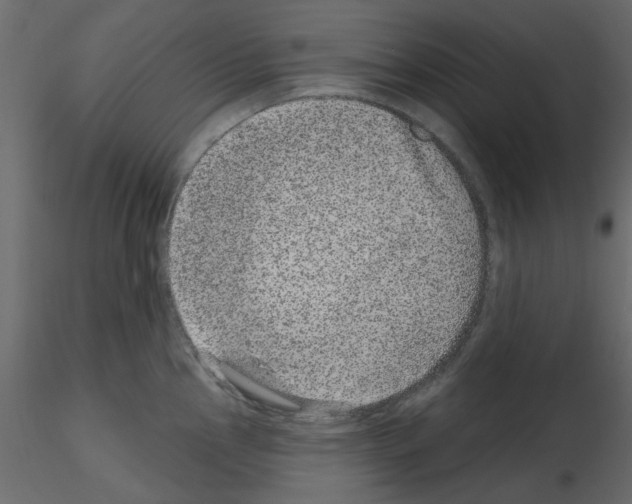 X0000115671145200912241414