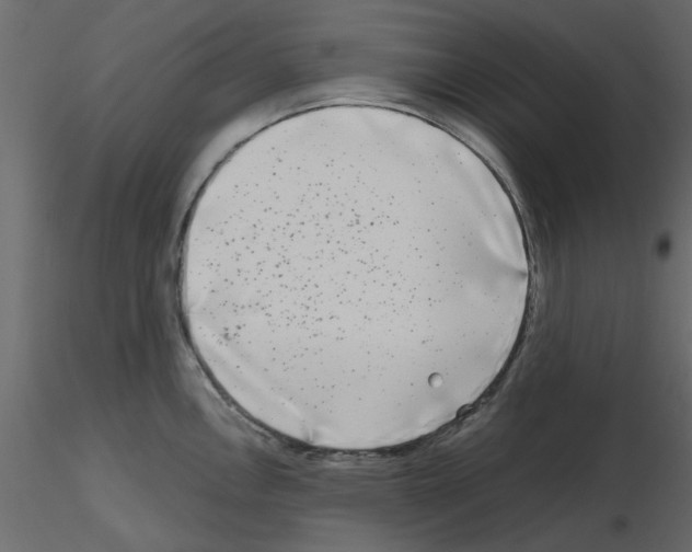 X0000115671146200912241414