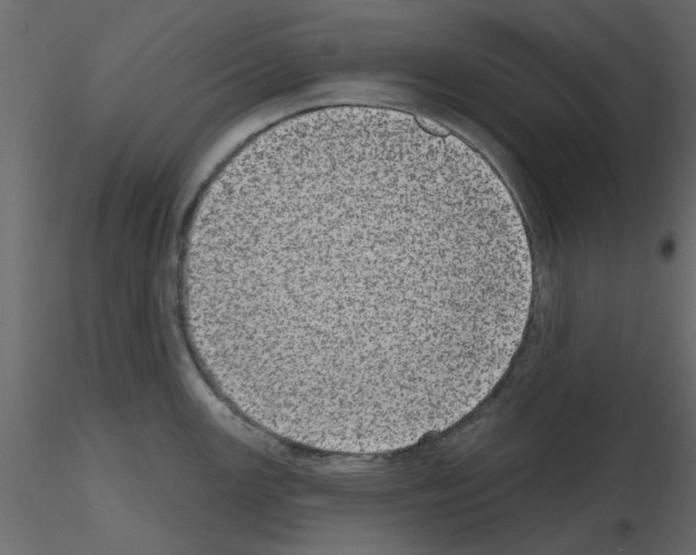 X0000115671147200912241414