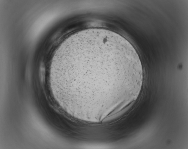 X0000115671151200912241414