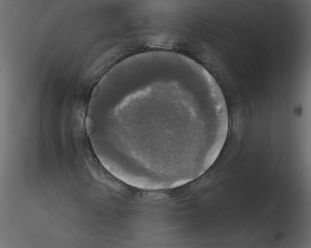 X0000115671154200912241414