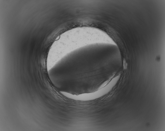 X0000115671155200912241414