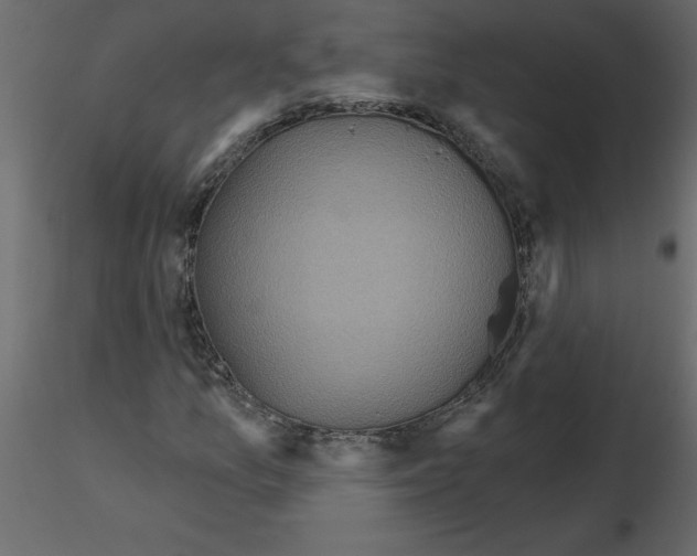 X0000115671157200912241414