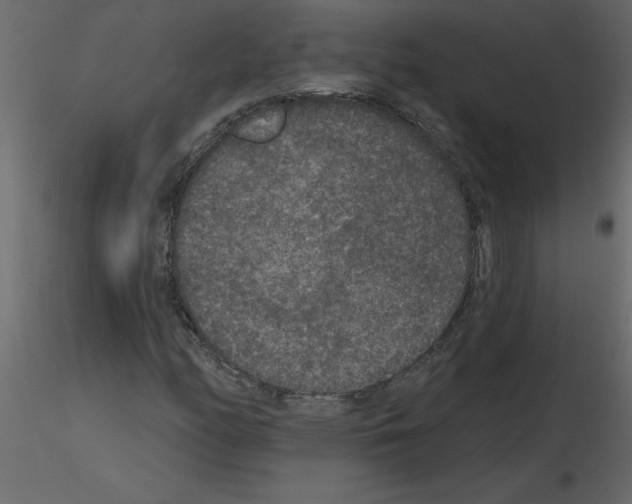 X0000115671158200912241414