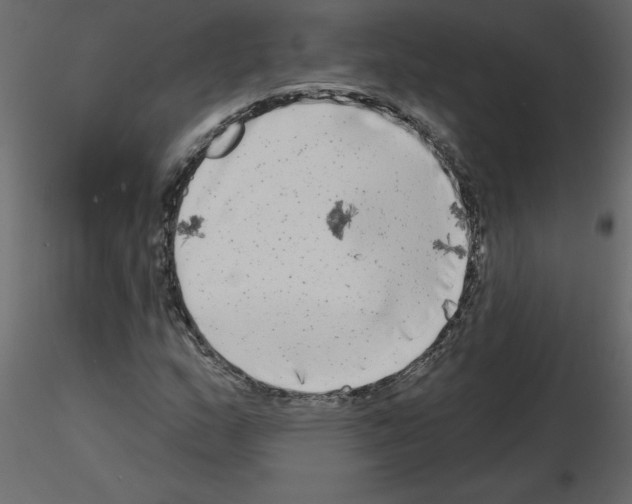 X0000115671159200912241414