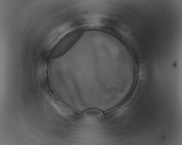 X0000115671161200912241414