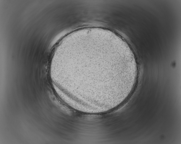 X0000115671163200912241413