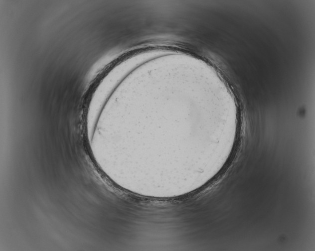 X0000115671164200912241413