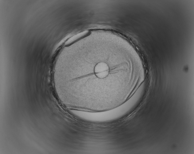 X0000115671165200912241413