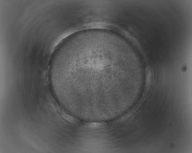 X0000115671166200912241413