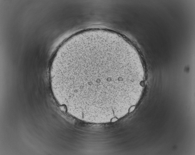 X0000115671167200912241413