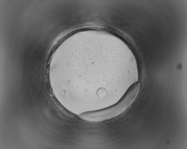 X0000115671168200912241413