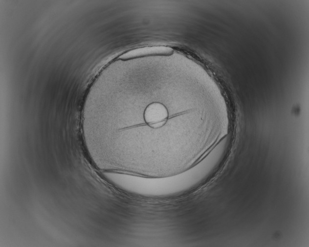 X0000115671169200912241413