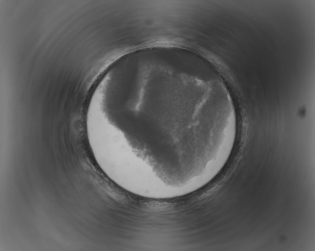 X0000115671170200912241413