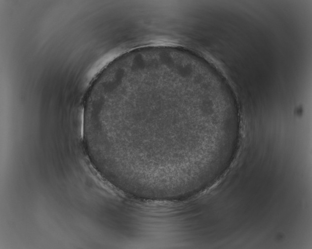 X0000115671171200912241413