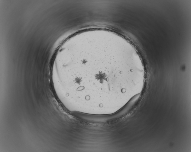 X0000115671172200912241413