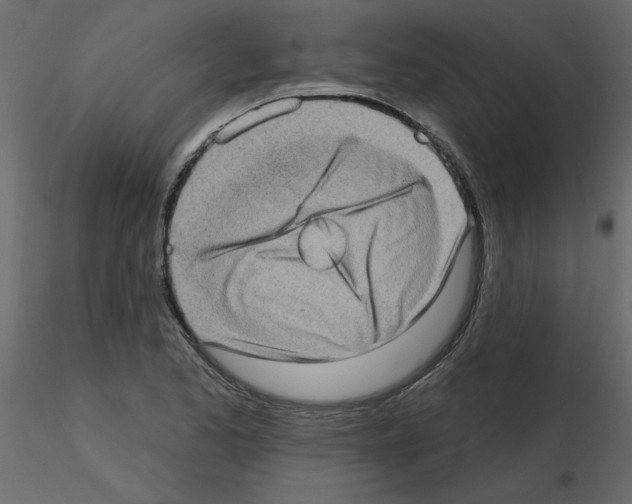 X0000115671173200912241413