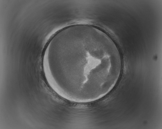 X0000115671174200912241413