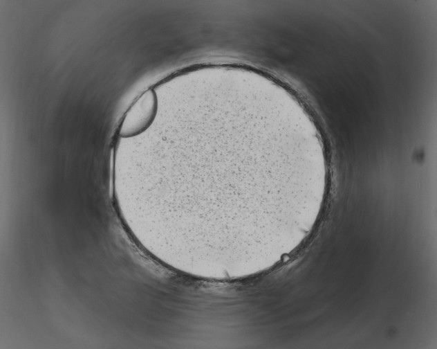 X0000115671175200912241413