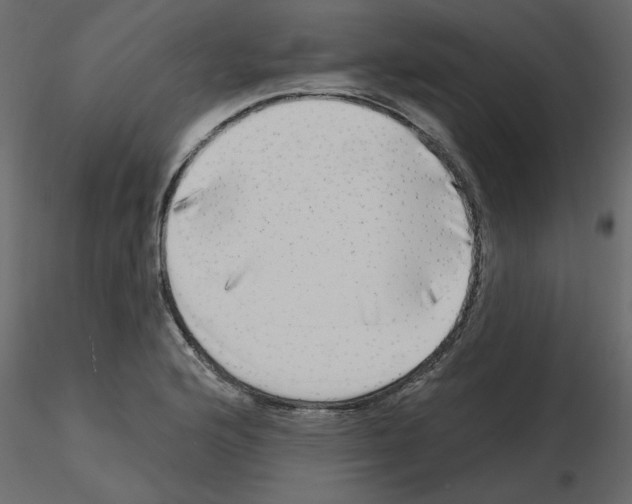 X0000115671176200912241413