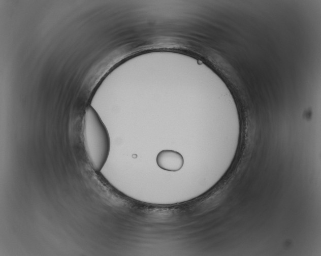 X0000115671177200912241413