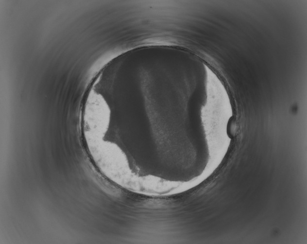 X0000115671179200912241413