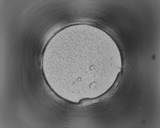 X0000115671180200912241413