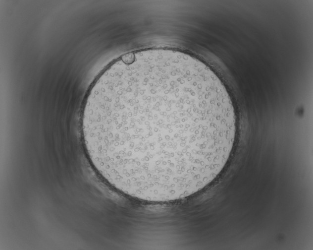 X0000115671182200912241413