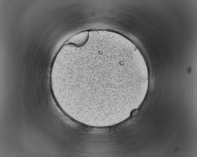 X0000115671183200912241413