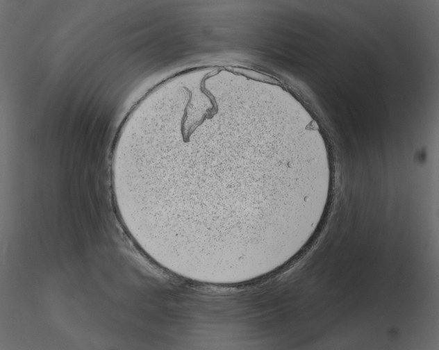 X0000115671184200912241413