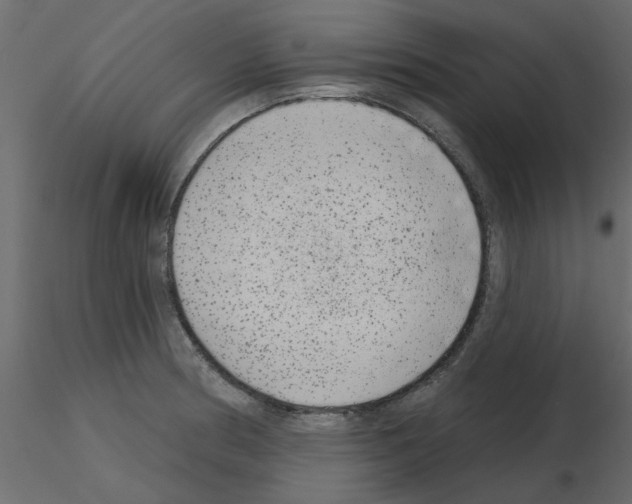 X0000115671186200912241413