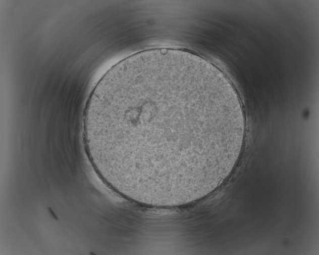 X0000115671187200912241413